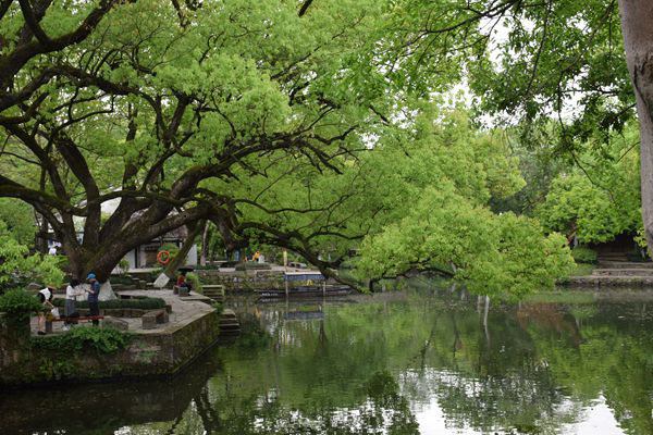 至少抽查20份报告！市场监管总局印发《检验检测机构监督抽查实施细则》