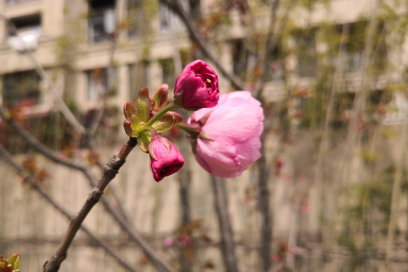 陕西局组织开展“绿色快递 陕亮邮我”主题宣传活动