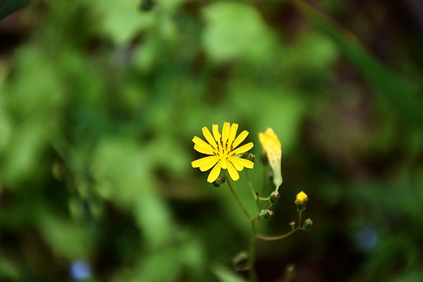 北京局召开2026年度工作务虚会