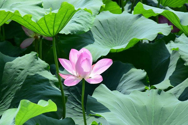 新疆邮政管理局联合兰州铁路监督管理局召开乌鲁木齐—广州快递电商班列座谈会