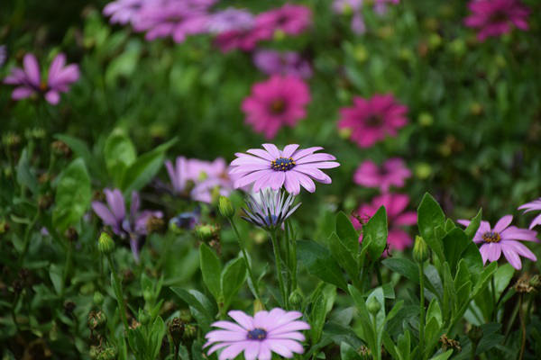 沪贵豫琼青陕6省市局分别举办树立和践行正确政绩观学习教育读书班