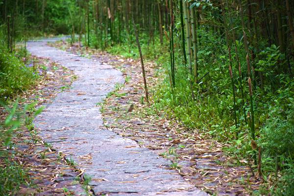 内蒙古提升欠发达地区优势主导产业发展质效 强化农村寄递物流支撑消费帮扶能力